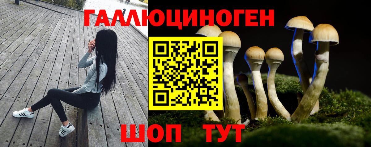 Псилоцибиновые грибы Psilocybine cubensis  Вход с VPN  Гусев 