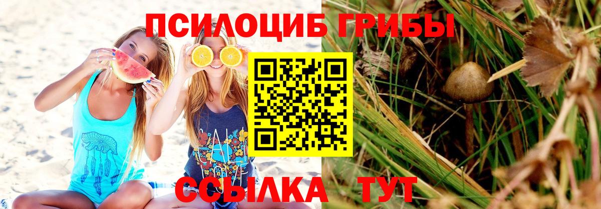 Псилоцибиновые грибы прущие грибы Гусев